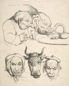 Sammenlignende anatomi, 1800-25., 1800-25. af Thomas Rowlandson