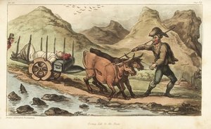 Fænrik Johnny Newcome, syg af dysenteri, taget med oksevogn til Salamanca, Spanien. Håndfarvet kobberstik tegnet og ætset af Thomas Rowlandson fra oberst David Roberts