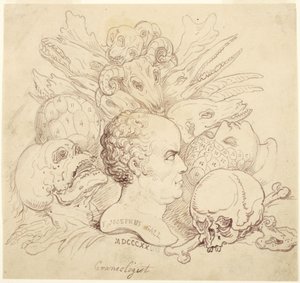 F. Josephus Gall, kraniolog