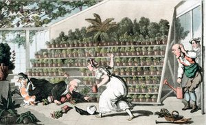 Ulykke i Tulipanhallen, c1816 af Thomas Rowlandson