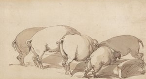 Grise ved et fodertrug af Thomas Rowlandson