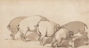 Pigs at a Trough, ca. 1790 (grafit med pen og blæk og brun vask på papir) af Thomas Rowlandson