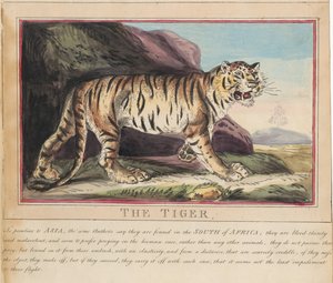 Sæt med otte billeder med titelblad. »Udenlandske og indenlandske dyr.« 5. Ulven af Thomas Rowlandson