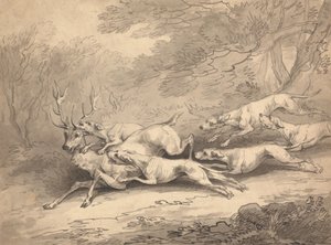 Hjort nedlagt af en flok hunde af Thomas Rowlandson