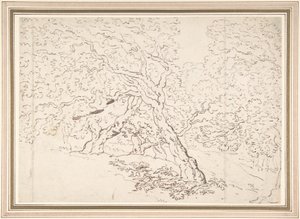 Undersøgelse af træer af Thomas Rowlandson