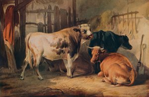 En tyr og tre køer i en stald, c1856