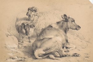 En ko og to væddere af Thomas Sidney Cooper