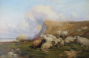 Shakespeare Cliff, Kent: Får på kystnære græsgange af Thomas Sidney Cooper
