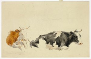 To liggende køer (recto); Skitse af stående ko (verso) af Thomas Sidney Cooper