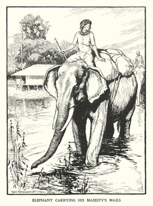 Elefant, der bærer Hans Majestæts post (litografi) af Thomas Somerfield