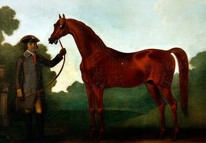 Charles Wilsons Arabian with a Groom (olie på lærred)