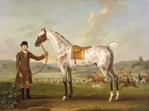 Scipio, oberst Roches plettede jæger, ca. 1750
