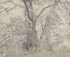 Træstudie af Thomas Stothard