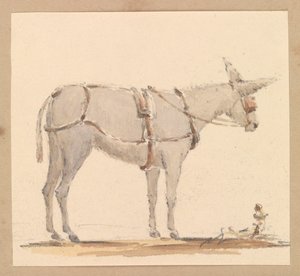 Studie af et æsel med hovedtøj og seletøj, ca. 1820 (blyant med brun og grå vask på papir) af Thomas Streatfeild