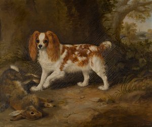 En spaniel med en død hare, ca. 1822-74 (olie på lærred) af Thomas W. Bretland