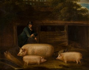 Harry Green, Pigman, with his Pigs in a Sty, ca. 1794-1843 (olie på lærred)