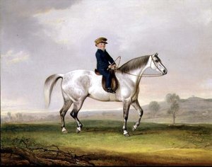 Mester Edward Humphries på sin grå pony af Thomas Weaver
