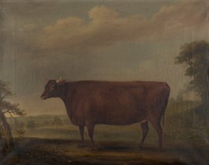 Røde Devon-kvier i landskab, ca. 1812 (olie på lærred)