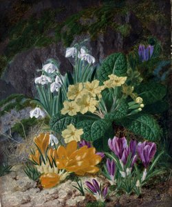 Forårsblomster (bl.a. krokus og primula). Maleri af Thomas Worsey (1829-1875) Privat samling. af Thomas Worsey