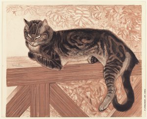 Sommer: Kat på en balustrade