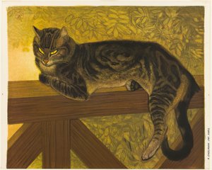 Sommer: Kat på en balustrade