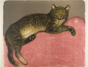 Vinter: Kat på en pude