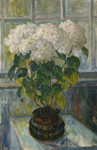 Hortensia af Thorolf Holmboe