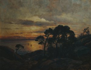 Fyrretræ ved solnedgang