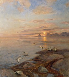 Havfugle i midnatssol (olie på lærred) af Thorolf Holmboe