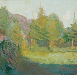 Fra Rauland i Telemark