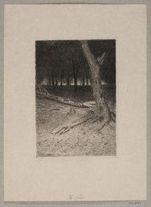 Skovindre. Aften