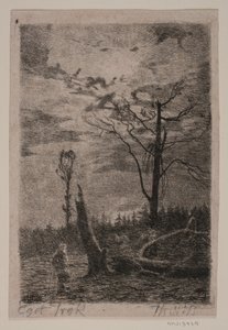 Skovrydning. Aften
