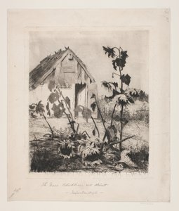 Solsikkerne ved huset