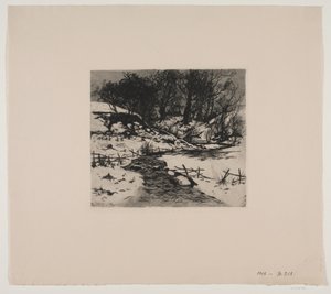 Vinter vandløb ved en skov