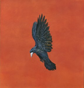 Shine-Red, (Akvarel og gouache på Arches 640gsm papir,) 101,6 x 91,4 cm