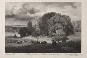Autumn Oaks af Timothy Cole