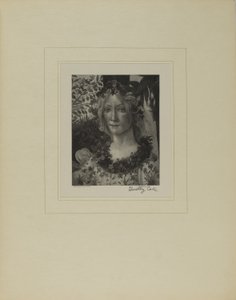 Gamle italienske mestre af Timothy Cole
