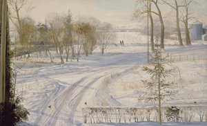 Høns søger af Timothy Easton