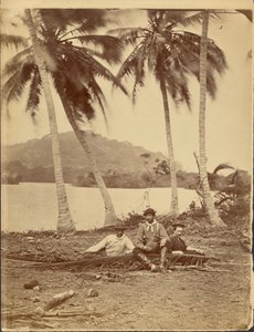 [Besætningsmedlemmer fra Selfridge-ekspeditionen til Isthmus Darién (Panama)]. af Timothy H. OSullivan