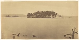 [Darién-landtangen (Panama)] af Timothy H. O