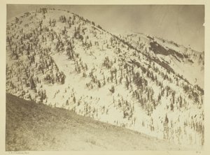 Snow Peaks, Bull Run minedistrikt, Nevada af Timothy O