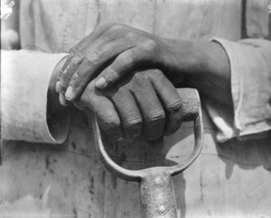 En bygningsarbejders hænder, Mexico, 1926 af Tina Modotti