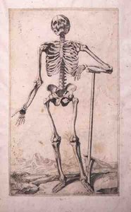 Anatomisk undersøgelse af Domenico Maria Bonavera (f.1640) (ætsning og tørnål)
