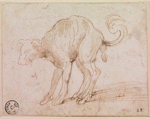 Detalje af en hund, der krydser Det Røde Hav (pen og blæk på papir)