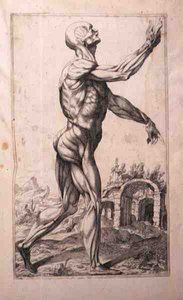 Anatomisk undersøgelse af Domenico Maria Bonavera (f.1640) (ætsning og tørnål)