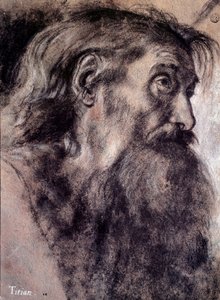 Gammel mands hoved Tegning af Tiziano Vecellio kaldet Titian (1485-1576) 1500-tallet Paris, Louvre-museet af Titian (c.1488 1576)