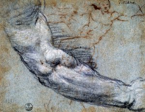 Armstudie af Tizian (ca 1488-1576), tegning af Titian (c.1488 1576)