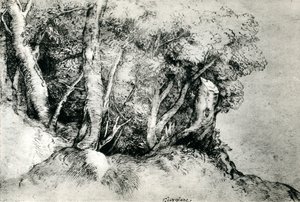 Skovlandskab, c1516-1518, 1937 af Tiziano Vecelli