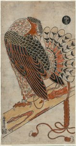 Sparrowhawk (Konori Taka) af Torii Kiyomasu I