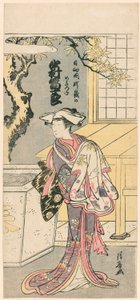 Nakamura og Mijuro læge som femme Fox-medlem Te S fra Te Pay, Jigo torii springræv (Nakamura og Mijuros hunræv fra Mt. af Torii Kiyonaga